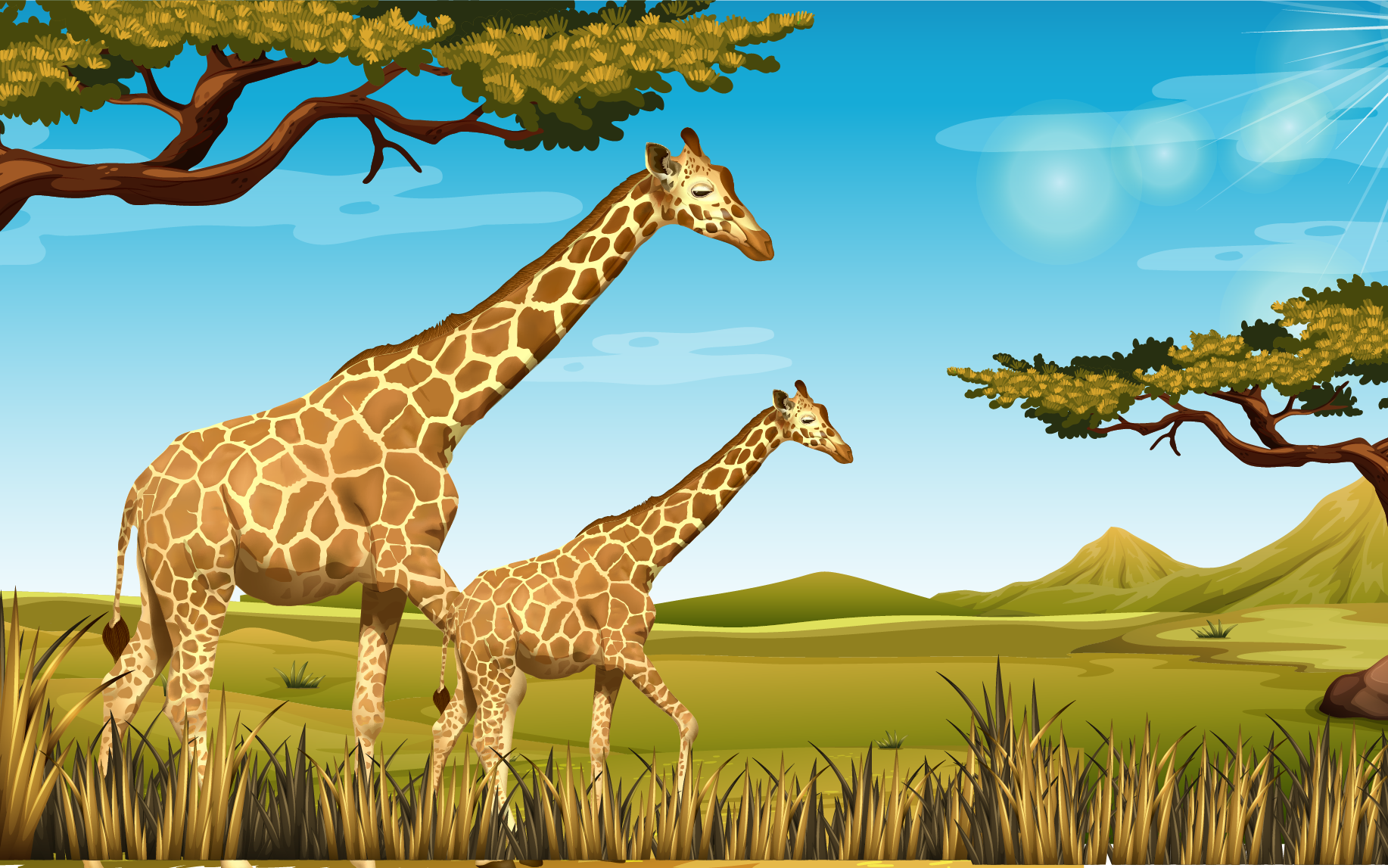 Natural Vegetation And Wildlife Class 9 Social Science Leverage Edu
