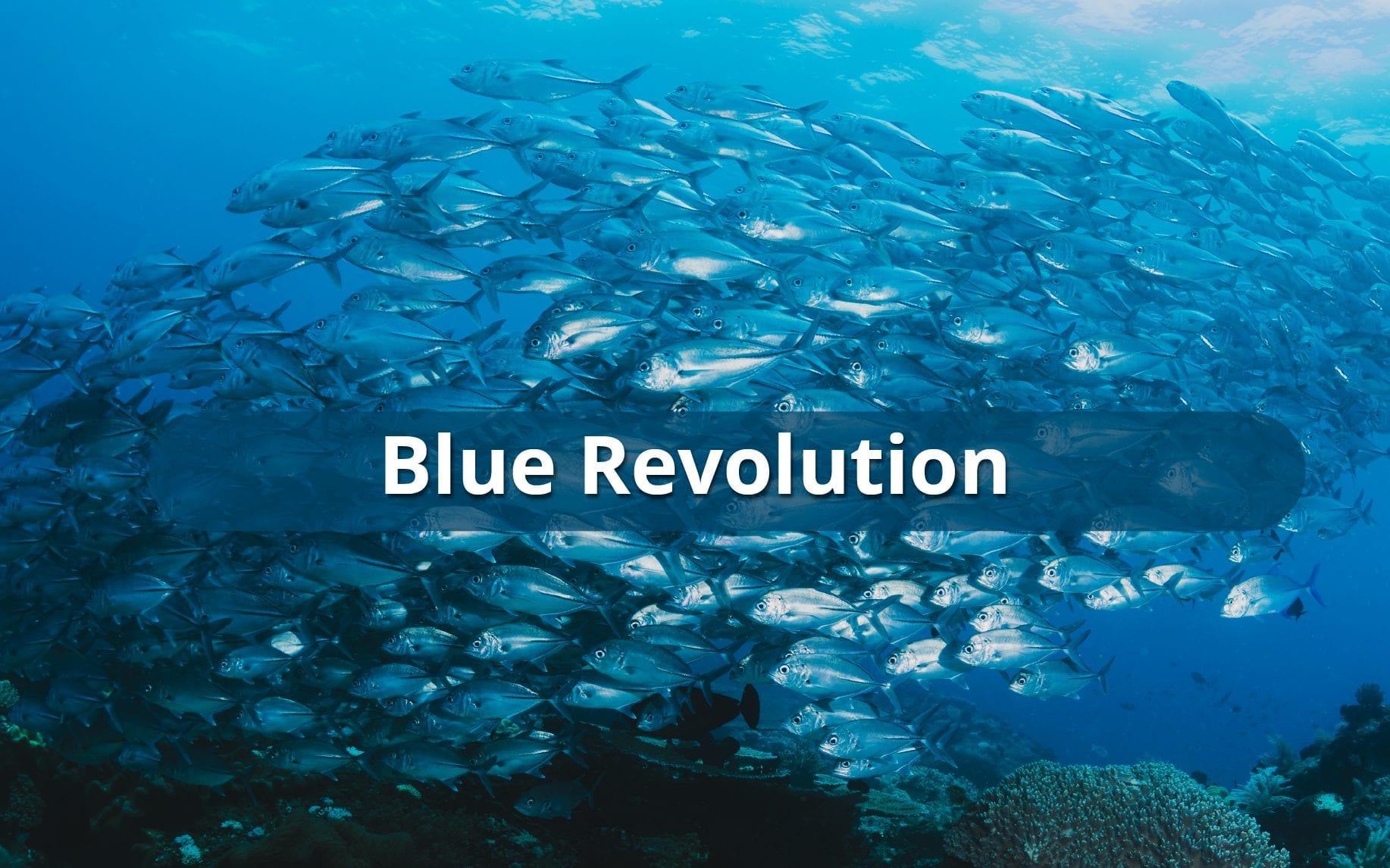 What is Blue Revolution? [Explained] Leverage Edu